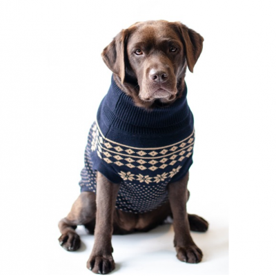 The Bailey Dog Jumper in Navy